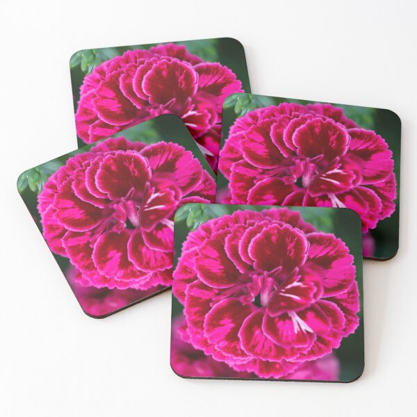 Item preview, dianthus designed and sold by codaimages.