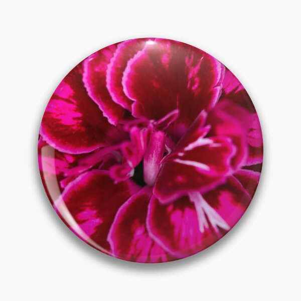 Item preview, dianthus designed and sold by codaimages.