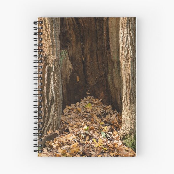 Item preview, Ancient oak woodland designed and sold by ccullen222.