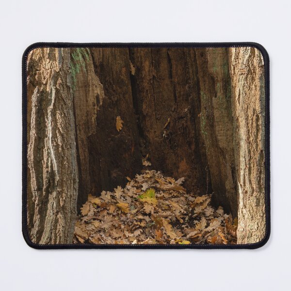 Item preview, Ancient oak woodland designed and sold by ccullen222.