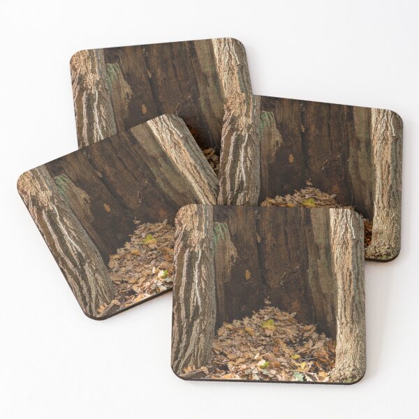 Item preview, Ancient oak woodland designed and sold by ccullen222.