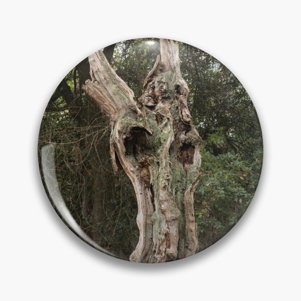 Item preview, Ancient woodland designed and sold by ccullen222.