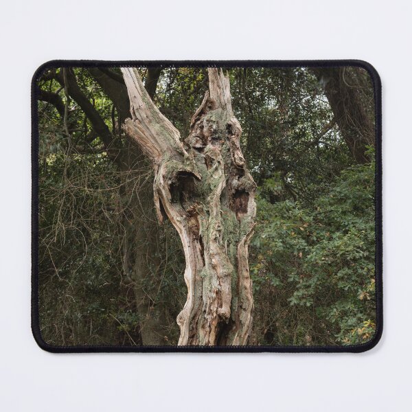 Item preview, Ancient woodland designed and sold by ccullen222.