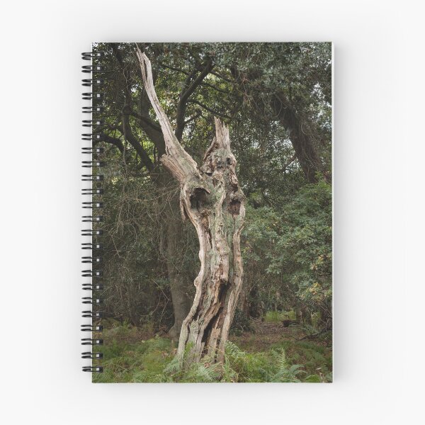 Item preview, Ancient woodland designed and sold by ccullen222.