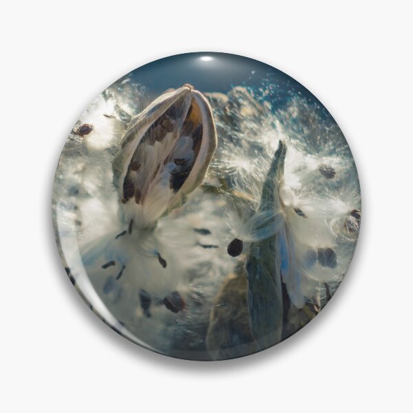 Item preview, Milkweed Pod designed and sold by lghtwrkr.