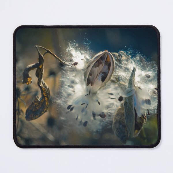 Item preview, Milkweed Pod designed and sold by lghtwrkr.