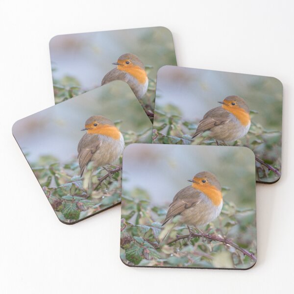 Item preview, European robin (Erithacus rubecula) designed and sold by Steve Liptrot Photography.