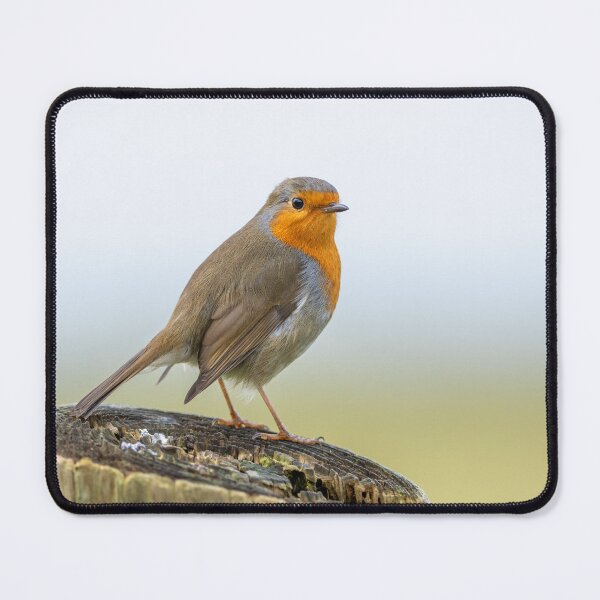 Item preview, European Robin designed and sold by Steve Liptrot Photography.