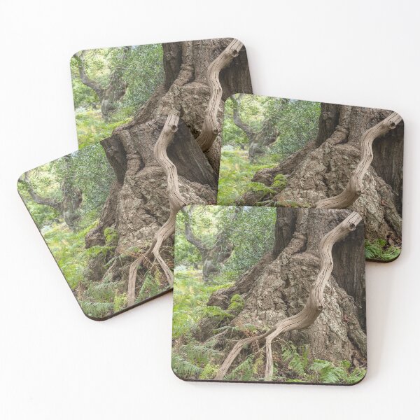 Item preview, Ancient woodland designed and sold by ccullen222.