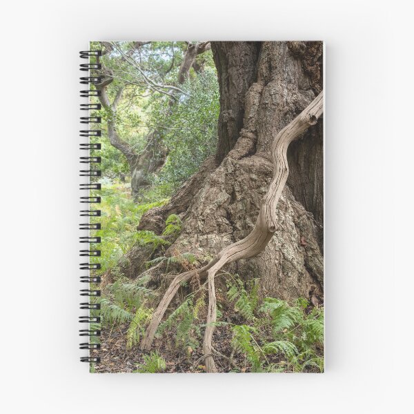 Item preview, Ancient woodland designed and sold by ccullen222.
