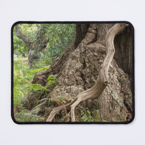 Item preview, Ancient woodland designed and sold by ccullen222.