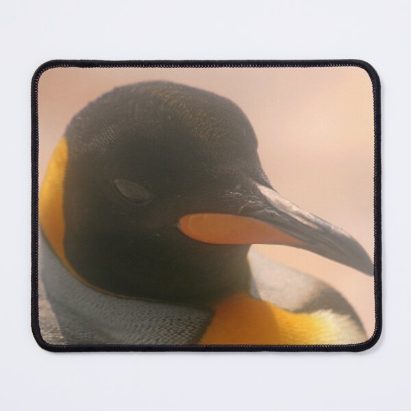 Item preview, His Majesty designed and sold by RedHillDigital.
