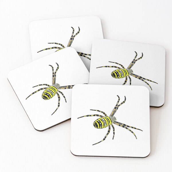 Item preview, Wasp spider Argiope bruennichi designed and sold by AikasHeaven.
