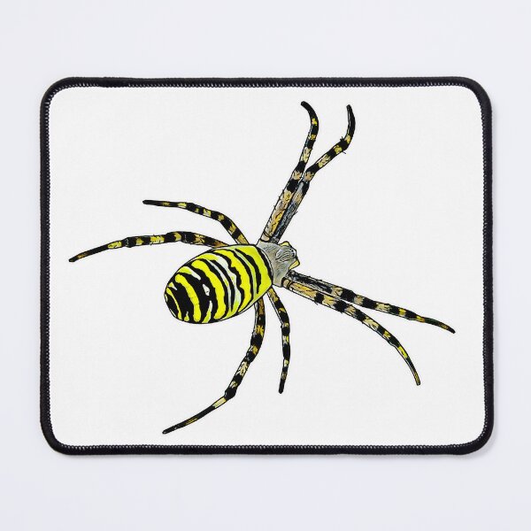 Item preview, Wasp spider Argiope bruennichi designed and sold by AikasHeaven.