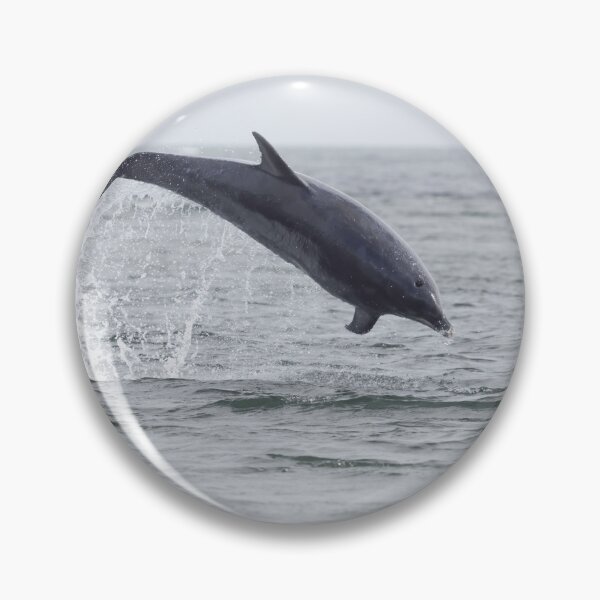 Item preview, Adult dolphin breaching designed and sold by chanonry.