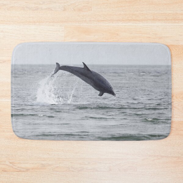 Item preview, Adult dolphin breaching designed and sold by chanonry.