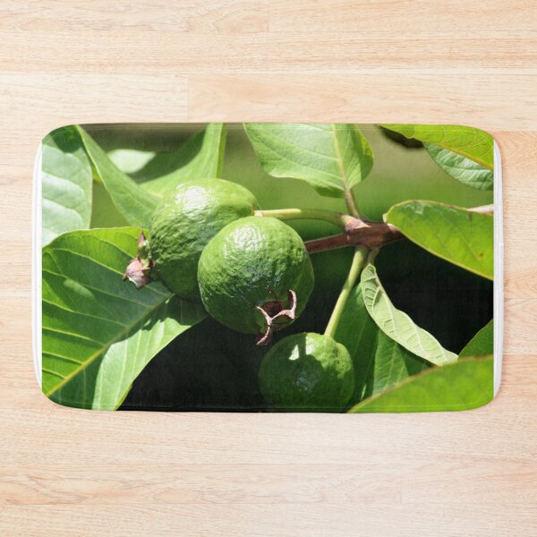 Item preview, Common Guava Fruits on the Tree. designed and sold by VgBingi.