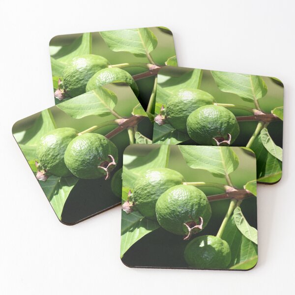 Item preview, Common Guava Fruits on the Tree. designed and sold by VgBingi.