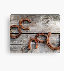 Lucky Horse Shoes Canvas Print