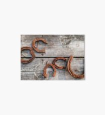 Lucky Horse Shoes Art Board