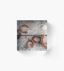 Lucky Horse Shoes Acrylic Block