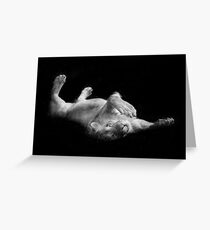 Dudeoir Greeting Card