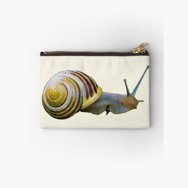 Item preview, Garden Cone Snail designed and sold by RainbowSpinkle.