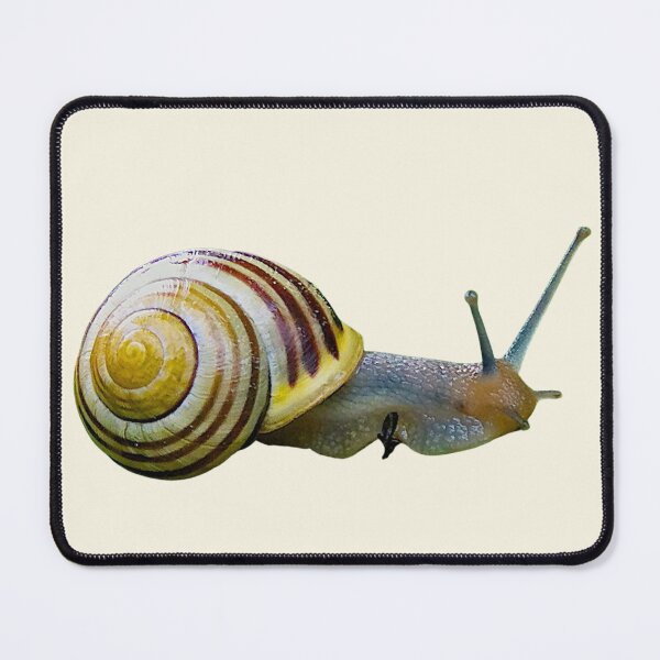 Item preview, Garden Cone Snail designed and sold by RainbowSpinkle.
