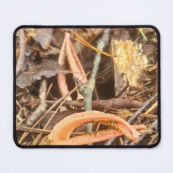 Item preview, Devil's Fingers  designed and sold by etherealwonders.