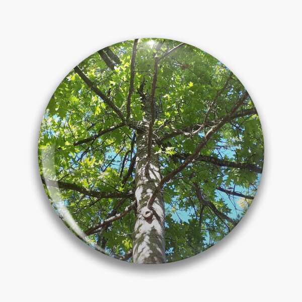 Item preview, Tree in the park designed and sold by CsillaRosales.