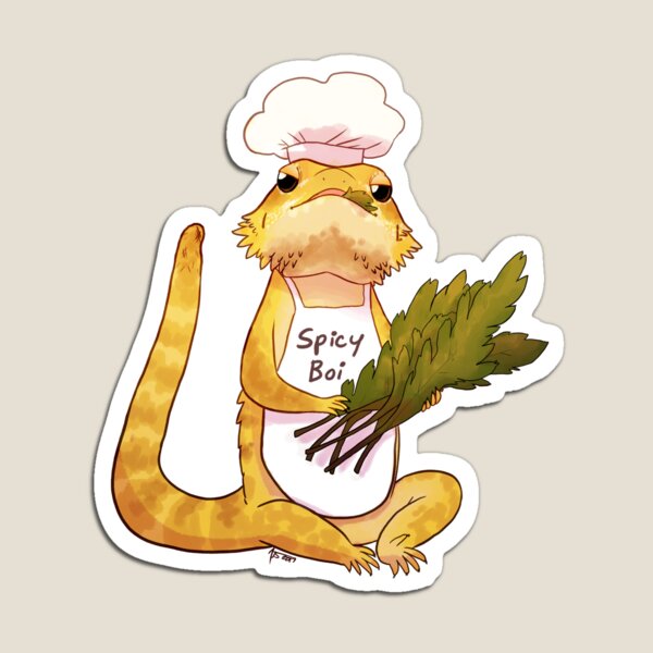 Dragon Magnets Redbubble