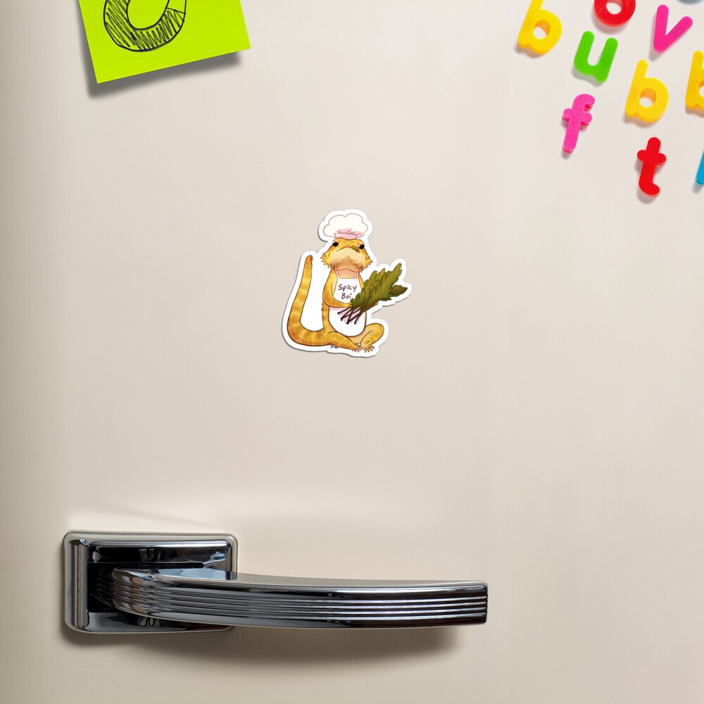 Here comes a Spicy Boy Magnet