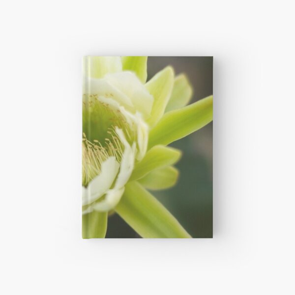 Princess of the Night - Bloom with Playful Bees Hardcover Journal