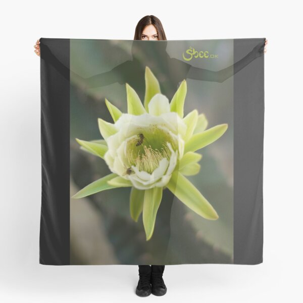 Princess of the Night - Bloom with Playful Bees Scarf