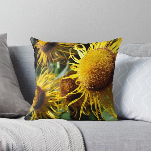 Sunflowers in Bloom - Shee Nature Photography Throw Pillow