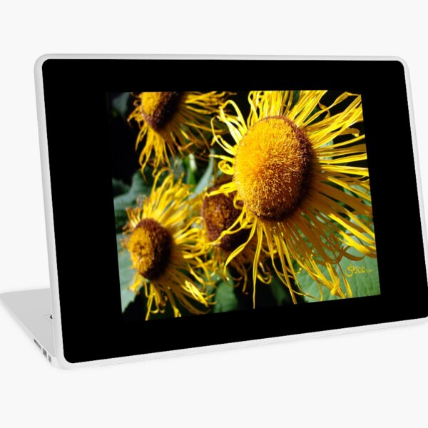 Sunflowers in Bloom - Shee Nature Photography Laptop Skin