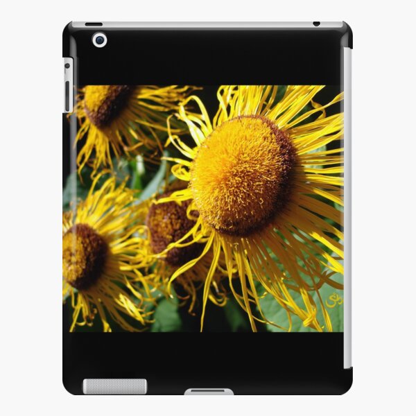Sunflowers in Bloom - Shee Nature Photography iPad Snap Case