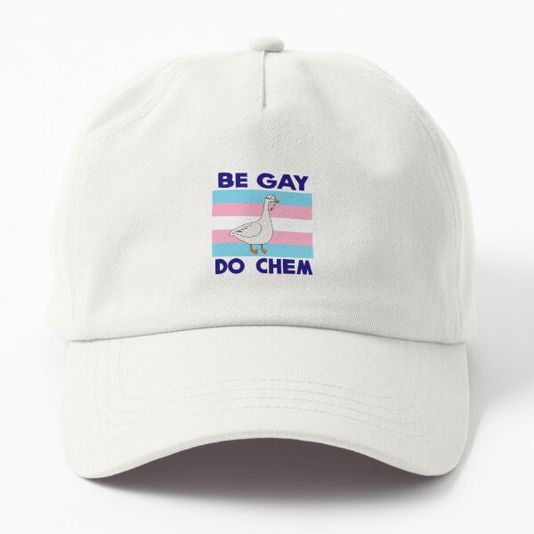 Aperçu de l'œuvre Be Gay Do Chem - Drapeau de la fierté trans créée et vendue par Clover1023.