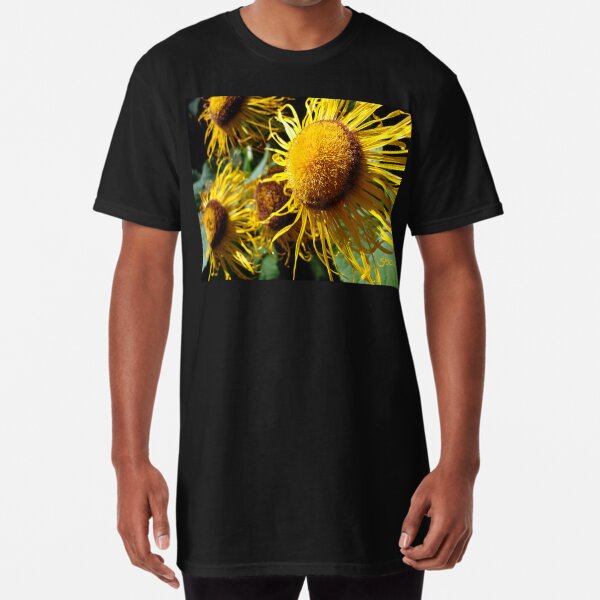 Sunflowers in Bloom - Shee Nature Photography Long T-Shirt