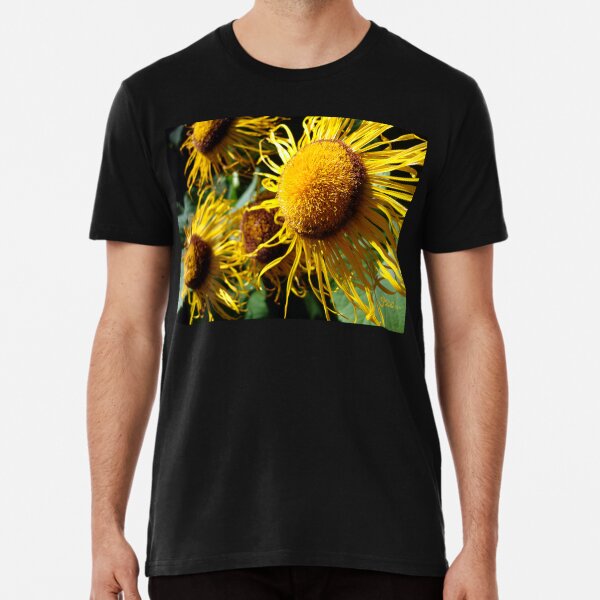 Sunflowers in Bloom - Shee Nature Photography Premium T-Shirt