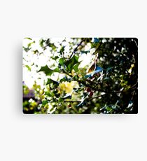 Holly Canvas Print