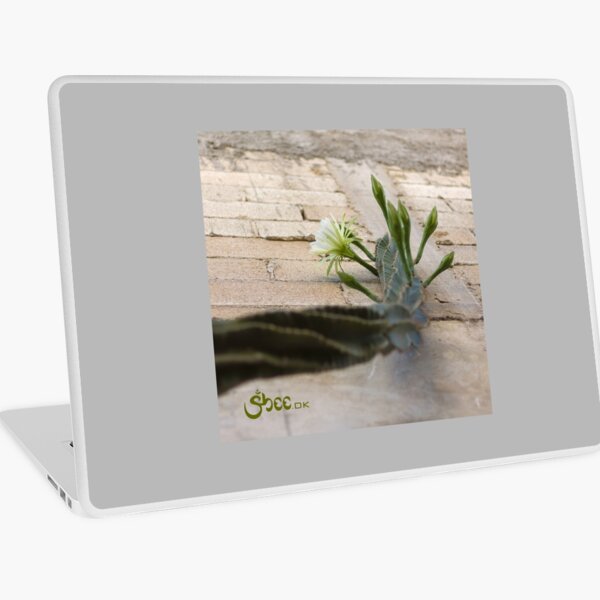 Princess of the Night - Blooming against Urban Wall Laptop Skin