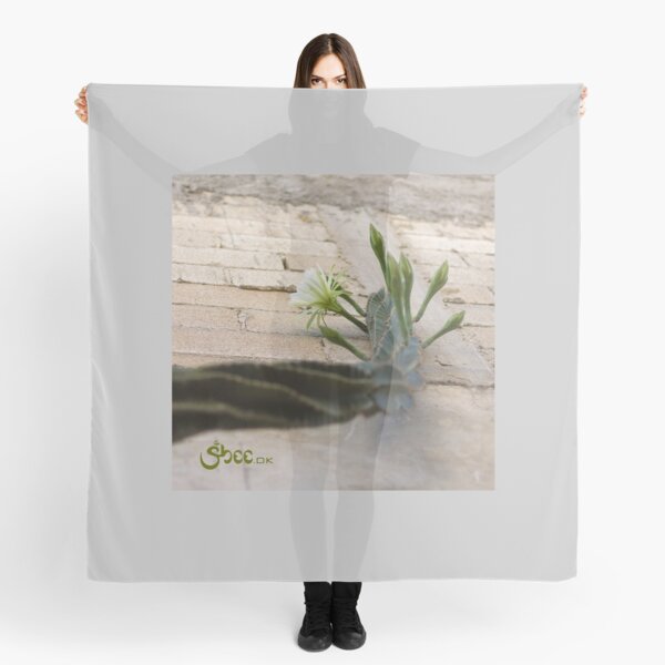 Princess of the Night - Blooming against Urban Wall Scarf