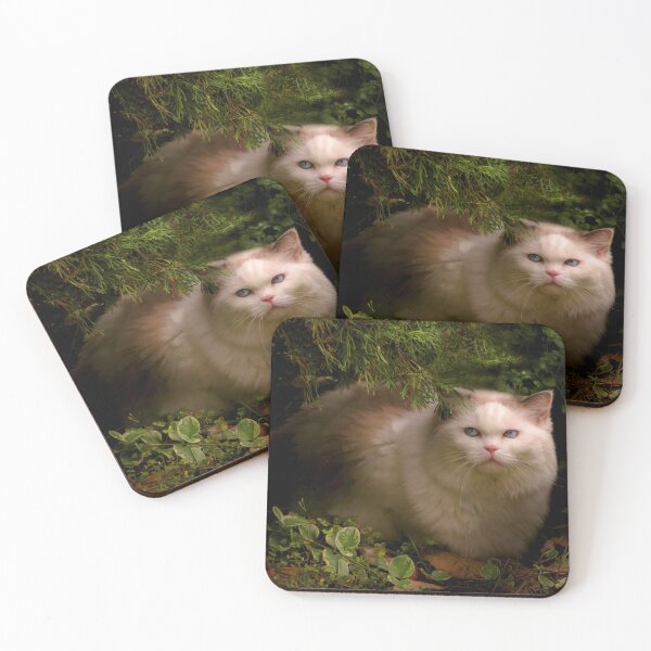 Item preview, Animal - Cat - Hidden comfort designed and sold by Mike Savad Photography.