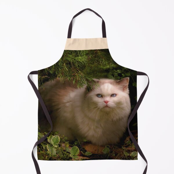 Item preview, Animal - Cat - Hidden comfort designed and sold by Mike Savad Photography.
