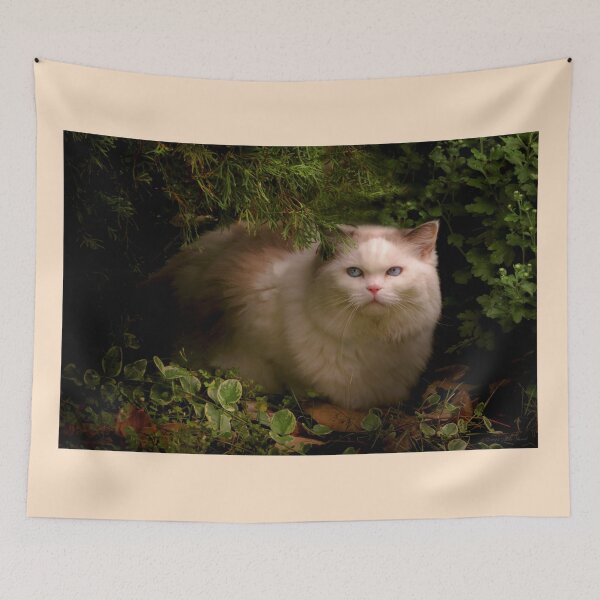 Item preview, Animal - Cat - Hidden comfort designed and sold by Mike Savad Photography.