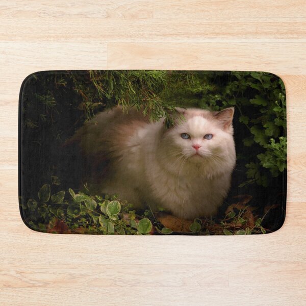 Item preview, Animal - Cat - Hidden comfort designed and sold by Mike Savad Photography.