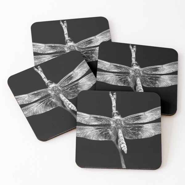 Item preview, Insect - Dragonfly - A good omen designed and sold by Mike Savad Photography.