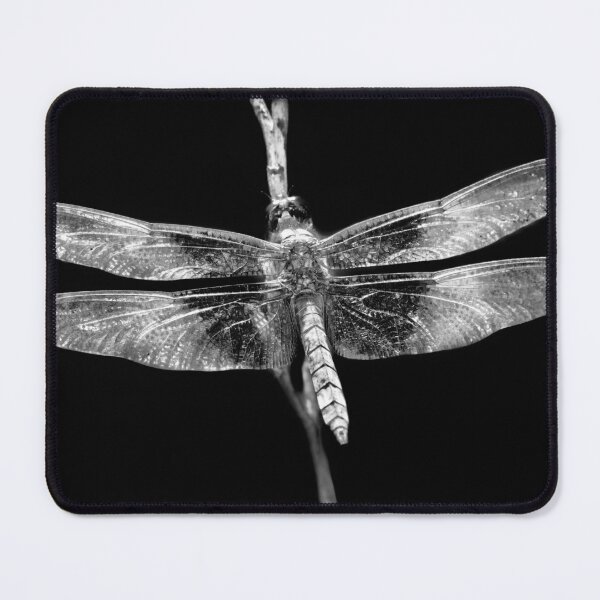 Item preview, Insect - Dragonfly - A good omen designed and sold by Mike Savad Photography.