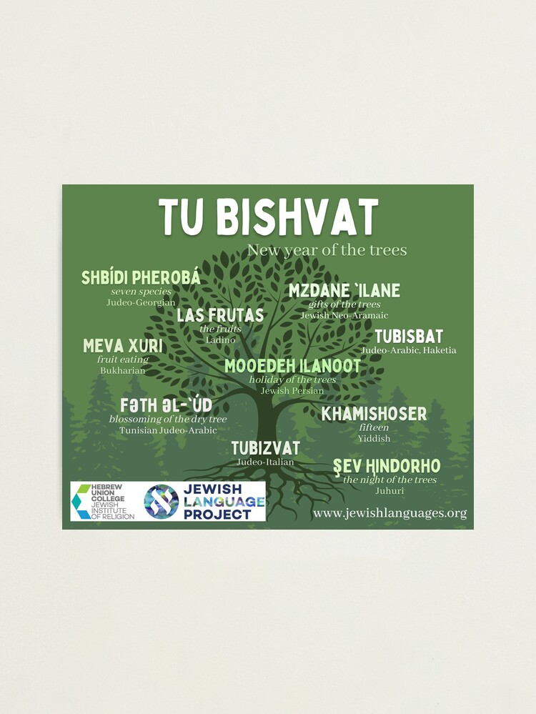 Thumbnail 2 of 3, Photographic Print, Tu Bishvat - New Year of the Trees - in 10 Jewish Languages designed and sold by hucjlp.